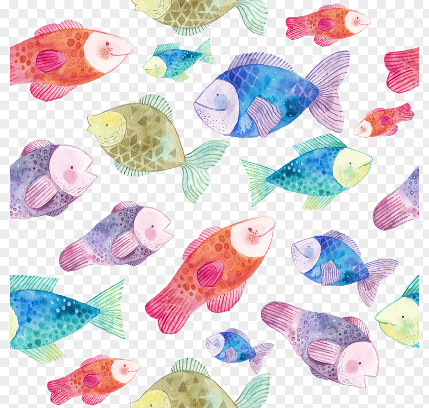 Decorative Fish Drawing Photography Illustration PNG