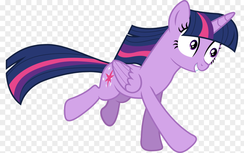Horse Pony Twilight Sparkle Pinkie Pie Sunset Shimmer PNG