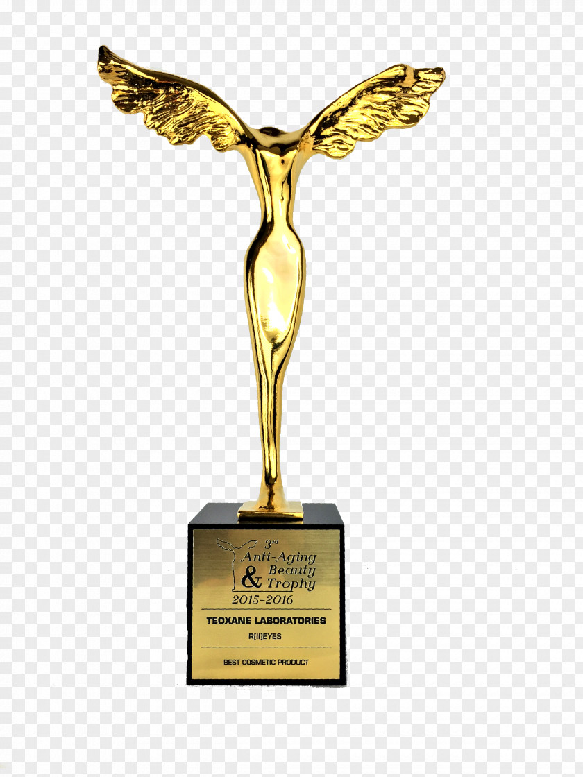 Trophy Statue PNG