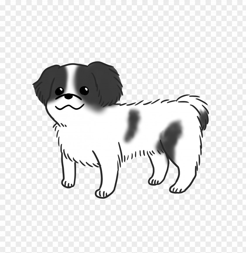 Dog Breed Puppy Japanese Chin Companion Toy PNG