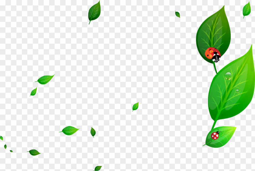 Green Leaves Ladybird Glass PNG