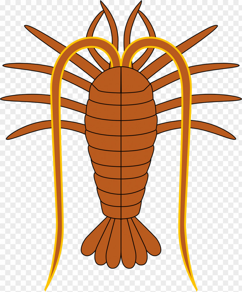 Lobster Grand Turk Island Turks Islands British Overseas Territories Flag Of The And Caicos PNG