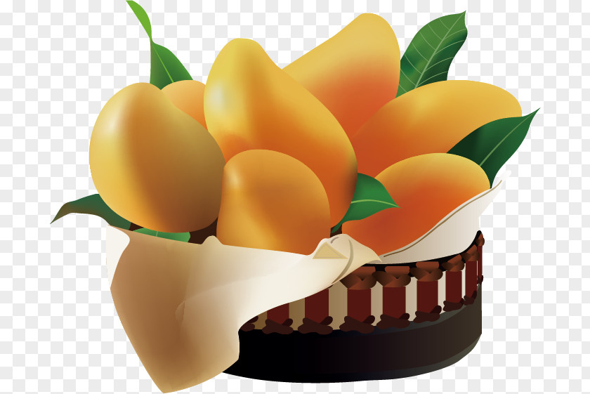 Mango Vector Pattern Juice Designer PNG