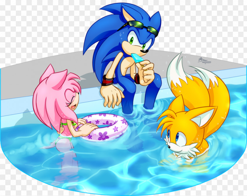 Sonic The Hedgehog Amy Rose Tails Ariciul Shadow & Sega All-Stars Racing PNG