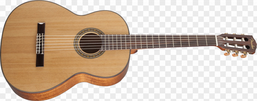 Acoustic Guitar Tiple Classical Requinto PNG