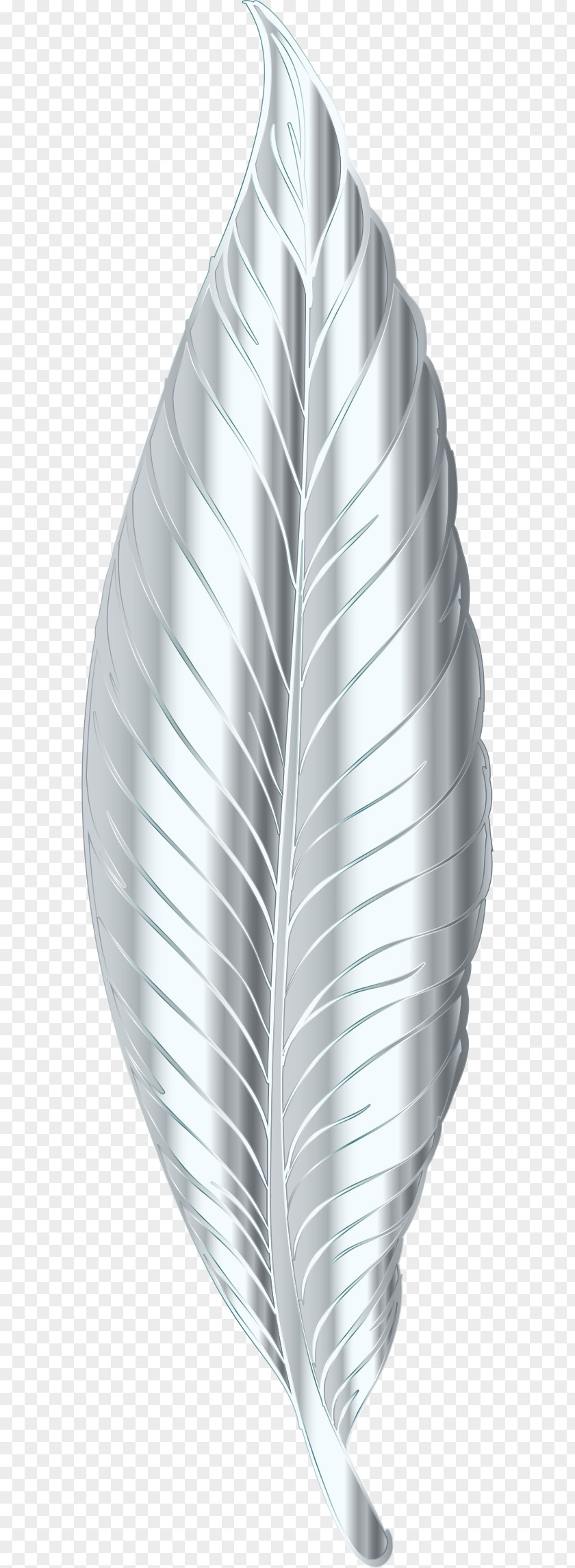Feather Bird Silver Clip Art PNG