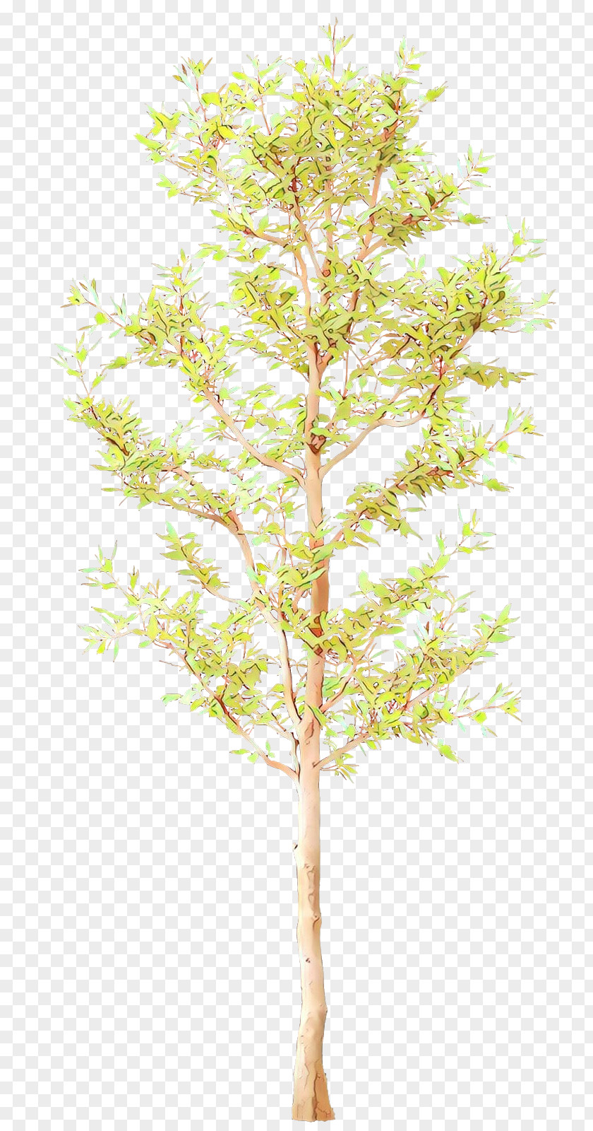 Flowering Plant Flower Tree Branch Leaf Twig PNG