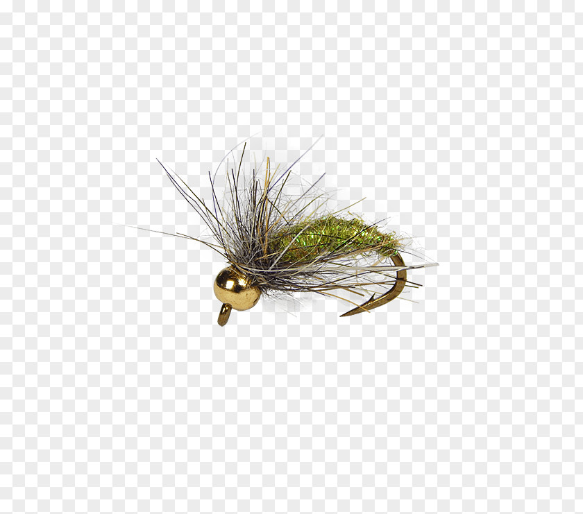 Insect Caddisflies Artificial Fly Fishing Larva PNG