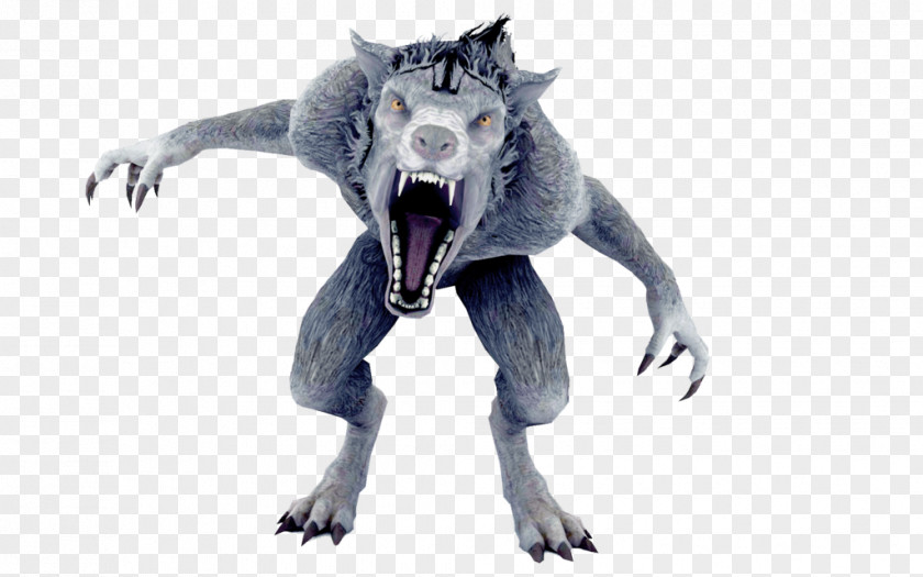 Werewolf Gray Wolf Animaag Legendary Creature PNG