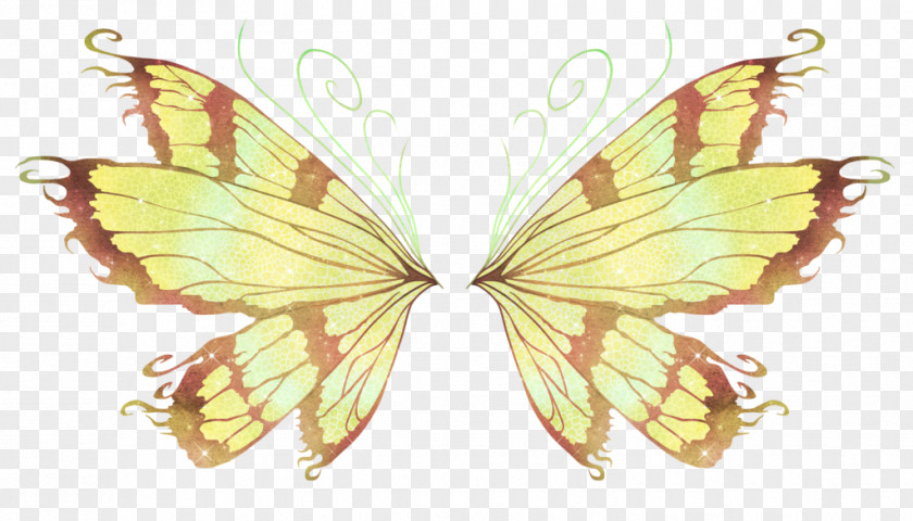 Butterfly Wing Tattoo Greta Oto PNG