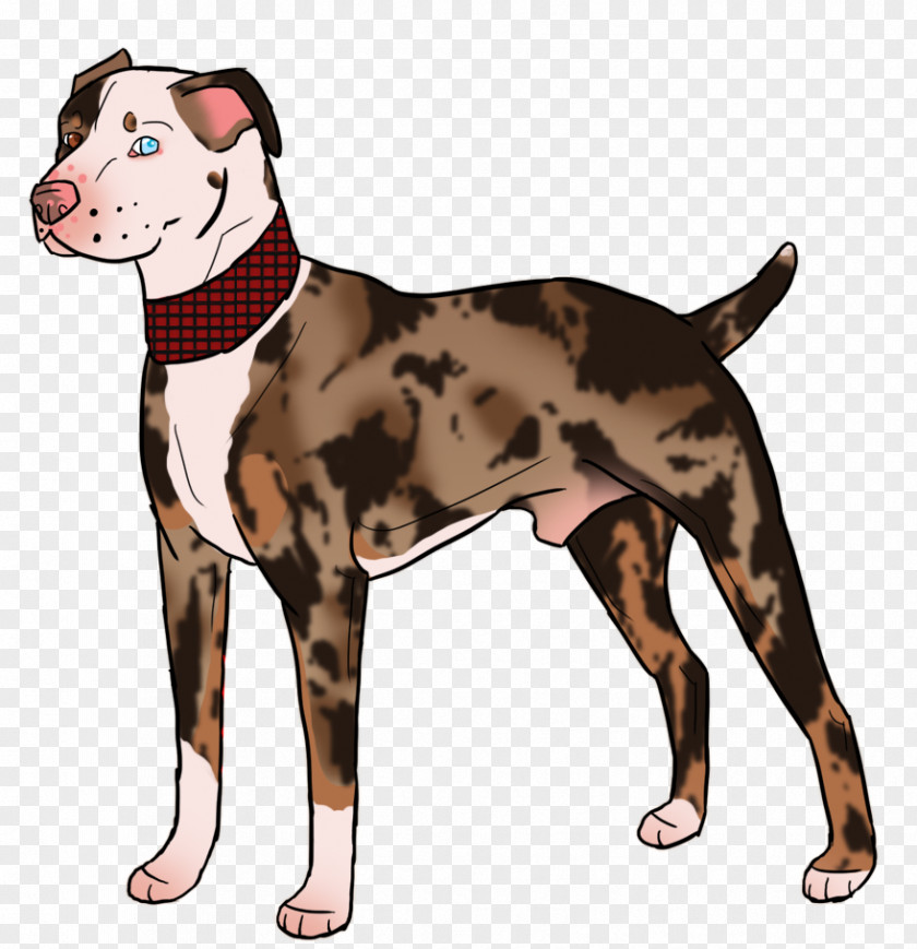 Catahoula Dog Breed American Pit Bull Terrier Art PNG