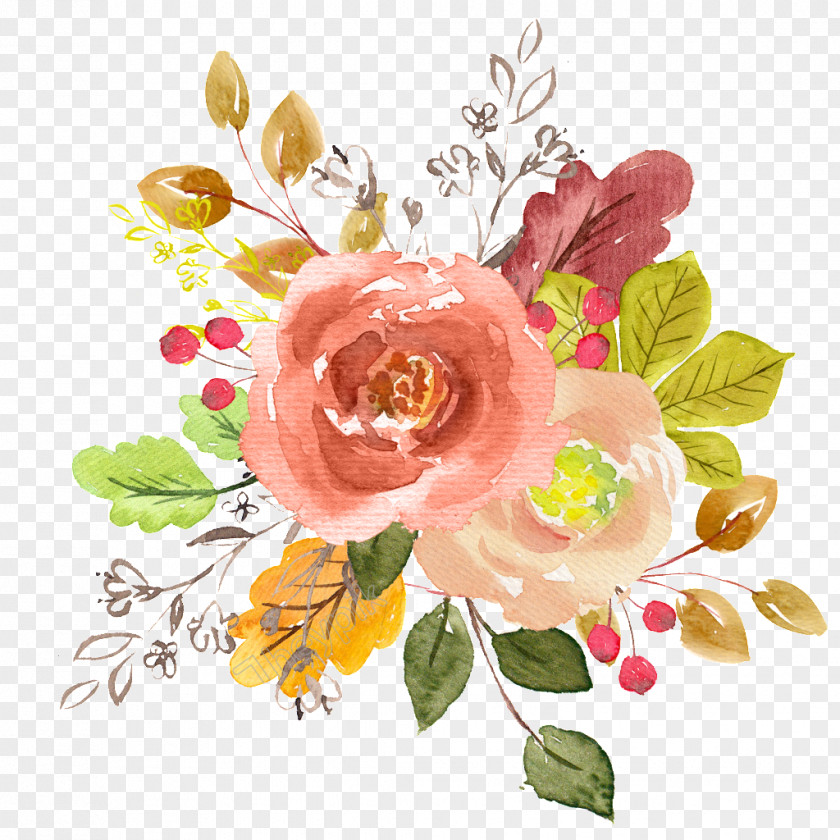 Flower Illustration Vector Graphics Euclidean Clip Art PNG