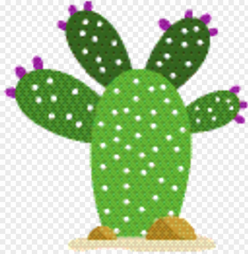 Plant Green Cactus Cartoon PNG