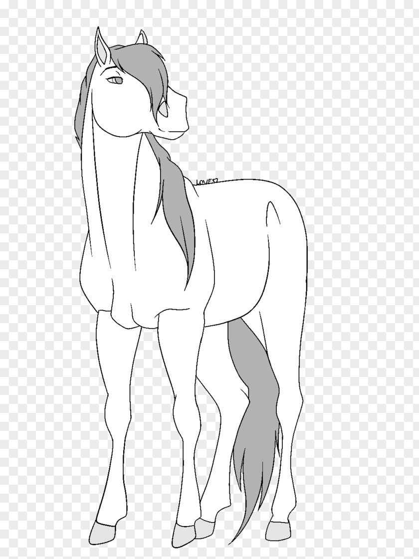 Spirit Horse Mule Bridle Mustang Mane Drawing PNG
