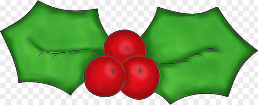 Tomato PNG