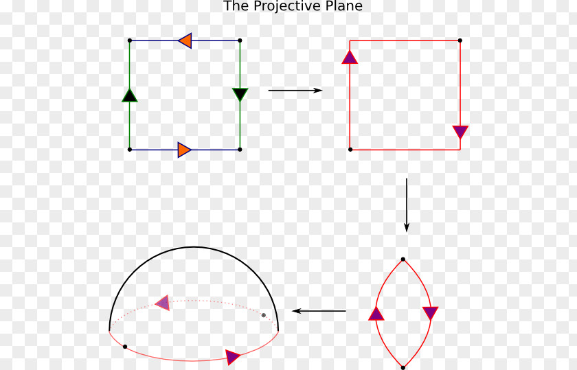Purple Geometry Real Projective Plane Point Fundamental Polygon PNG