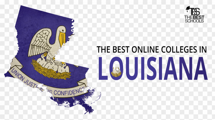 School Louisiana Delta Community College University Virtual PNG