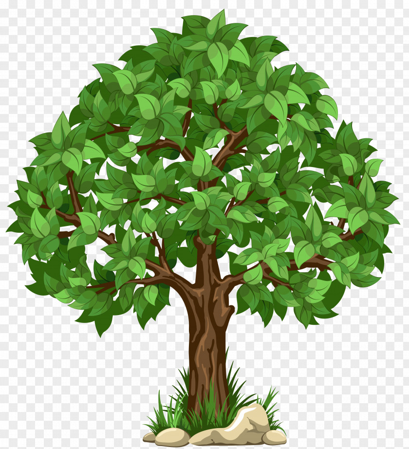 Transparent Tree Clipart Picture A White PNG
