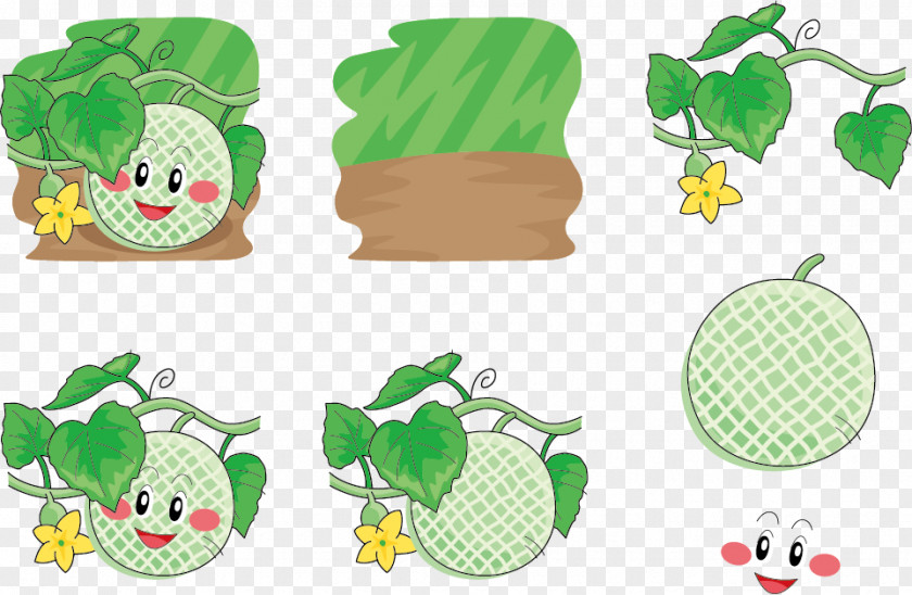 Under Expression Vector Leaf Melon Hami Download Cartoon Illustration PNG