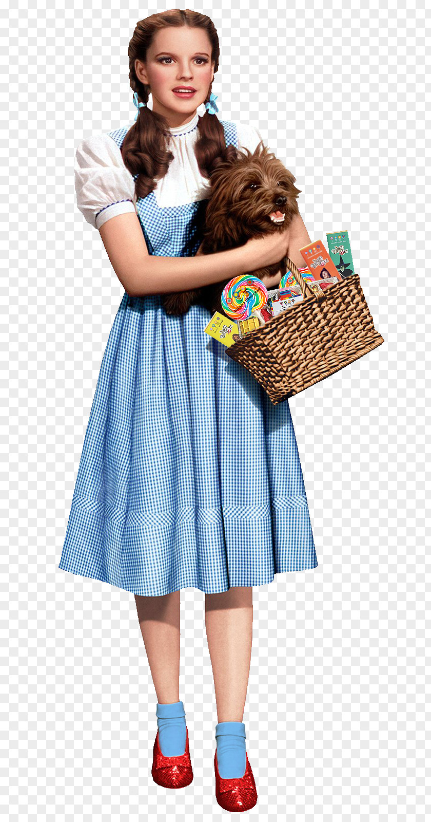 Wizard Of Oz Judy Garland Dorothy Gale Toto Tin Woodman Cowardly Lion PNG