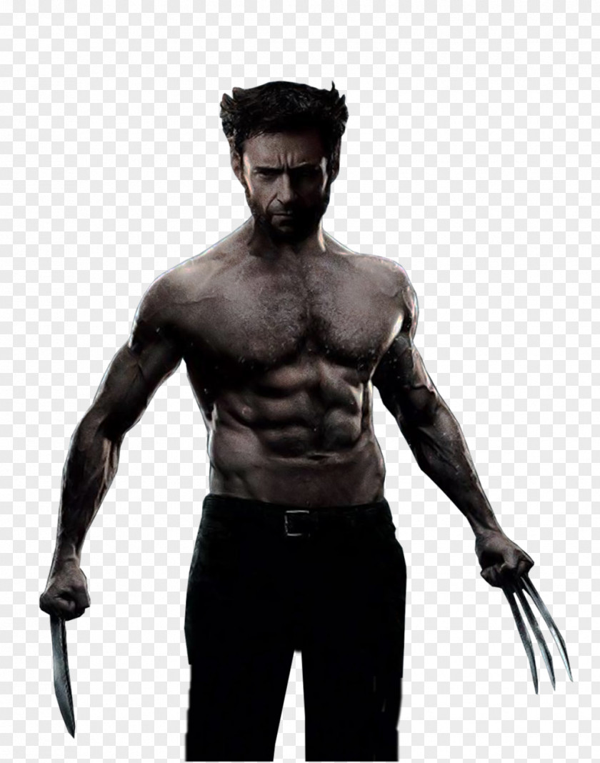 Wolverine Image Silver Fox Deadpool X-Men PNG