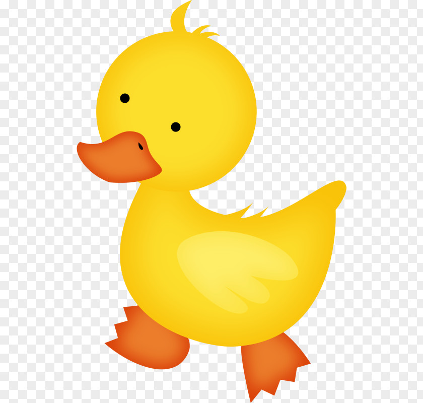 Cartoon Duck Baby Ducks Duckling Clip Art PNG