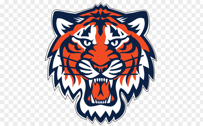 Detroit Pistons Tigers Lions MLB Red Wings PNG