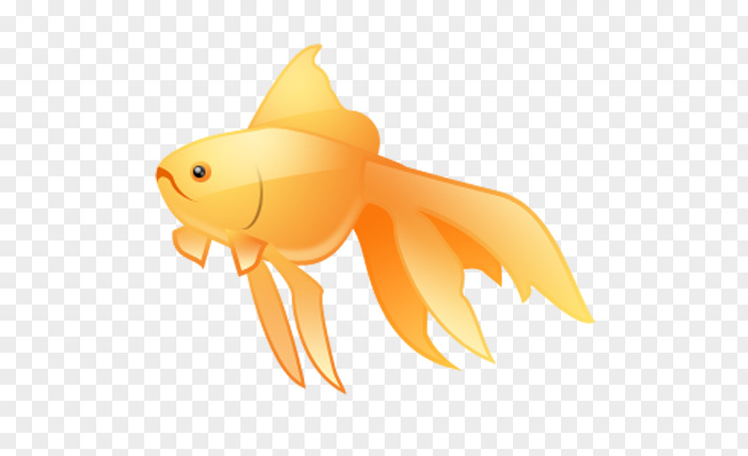 Fried Fish Goldfish PNG