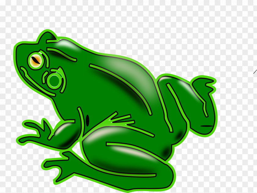 Frog True Tree Clip Art Toad PNG