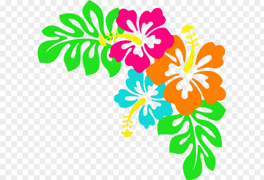 Hawaiian Cartoon Cliparts Hibiscus Alyogyne Huegelii Clip Art PNG