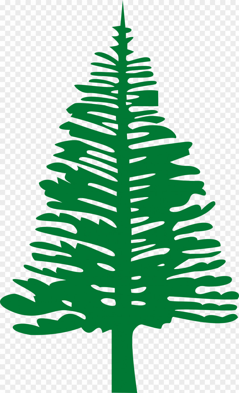 Pine Leaves Flag Of Norfolk Island Lord Howe Evans Head PNG