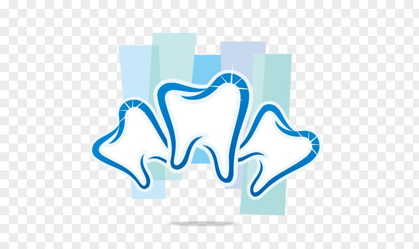 Three Teeth Vector Human Tooth Dentistry Orthodontics PNG