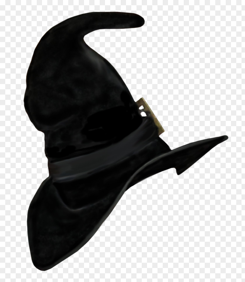 Cap Witch Hat PNG