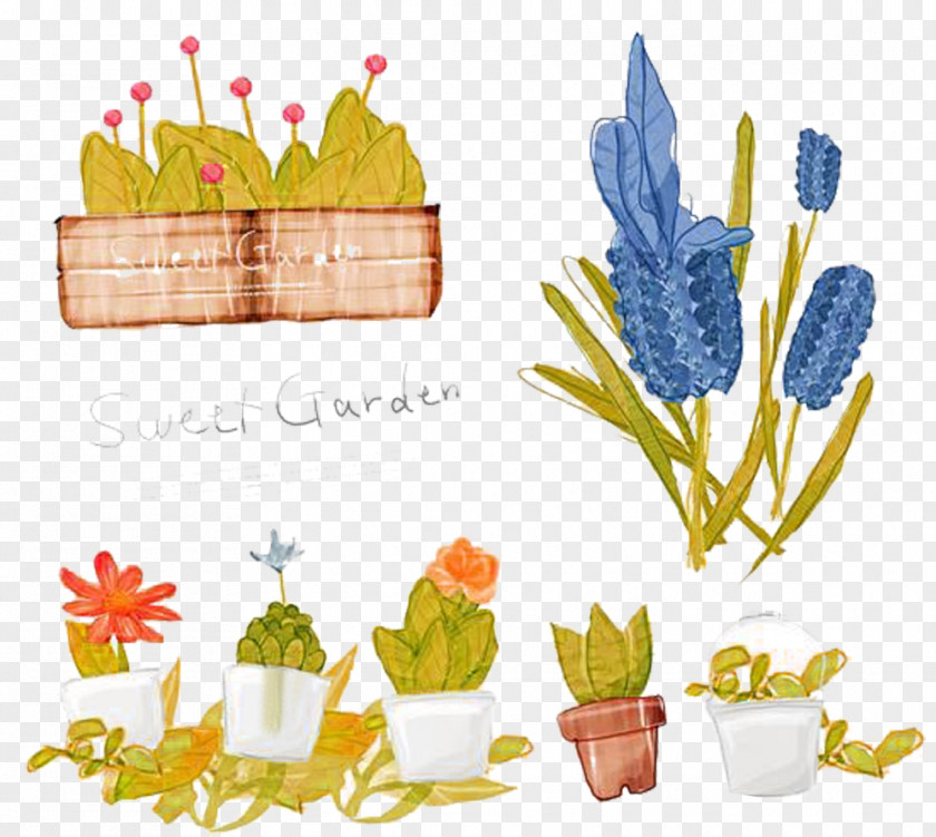 Friendship Hyacinth Picture Material Bonsai Plant Illustration PNG