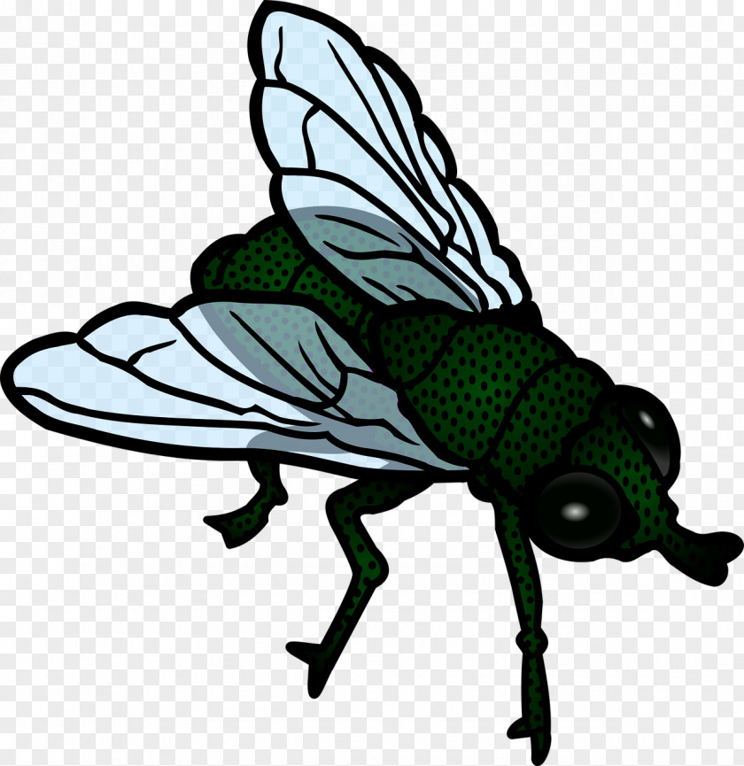 Green Flies Flight Fly Clip Art PNG