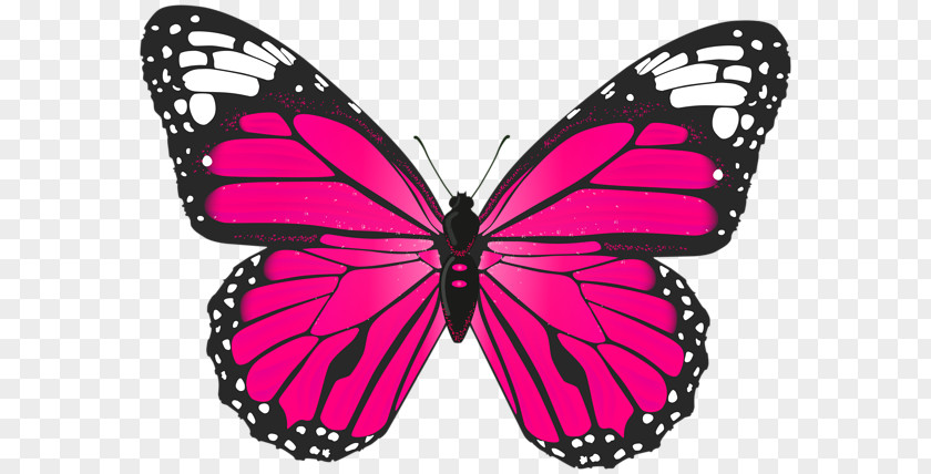Pink Wand Butterfly Clip Art PNG