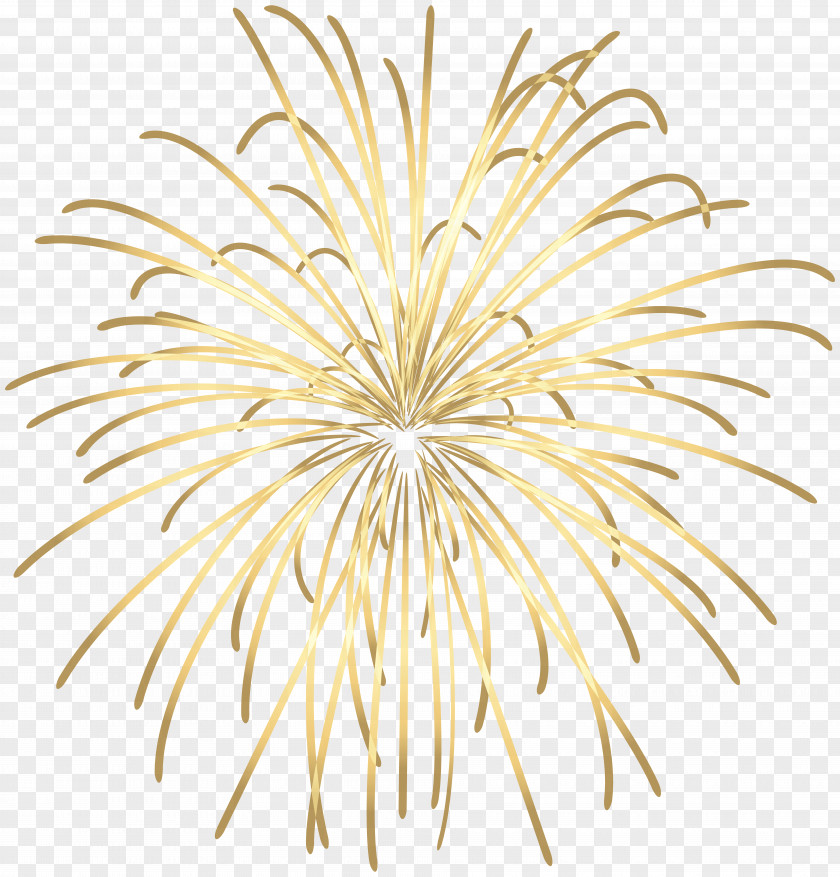 Purple Fireworks Clip Art Image PNG