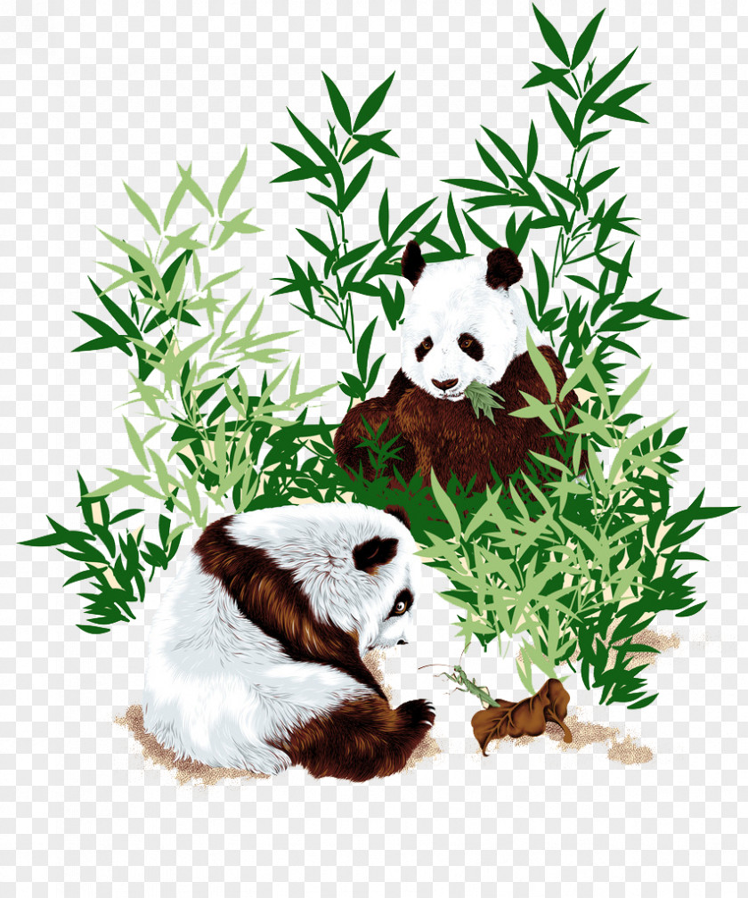 Beautiful Hand-painted Panda Pattern Chinese Cuisine West Restaurant Giant Bamboo PNG