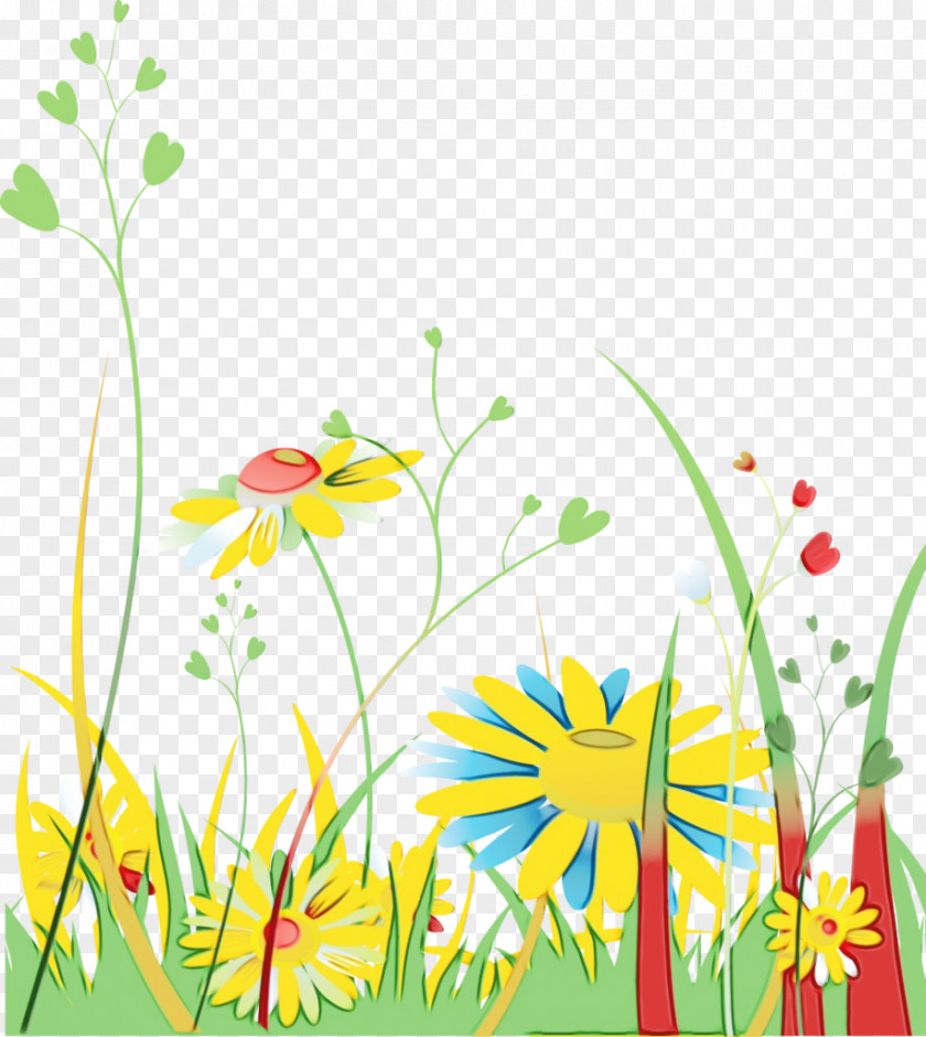 Pedicel Chamomile Watercolor Floral Background PNG