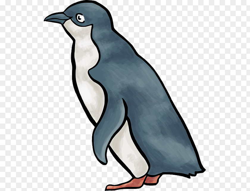 Penguin Little Clip Art Openclipart Vector Graphics PNG