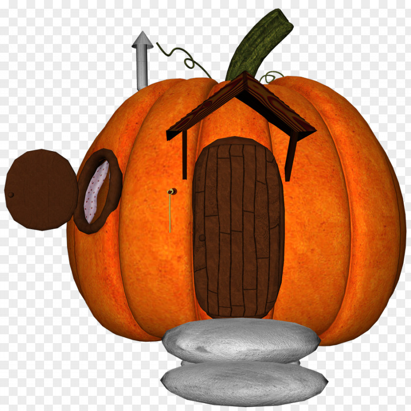 Pumpkin Calabaza Cucurbita Winter Squash Jack-o'-lantern PNG