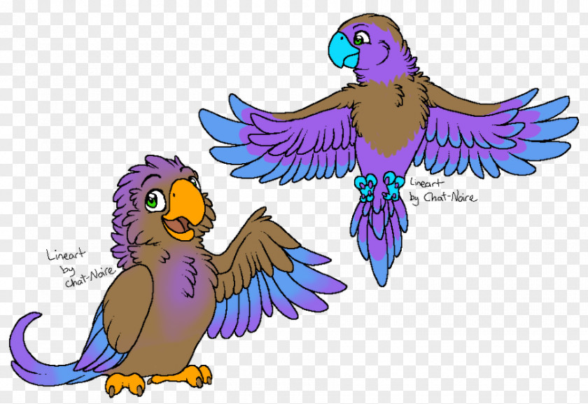 Feather Macaw Beak Parakeet Bird PNG