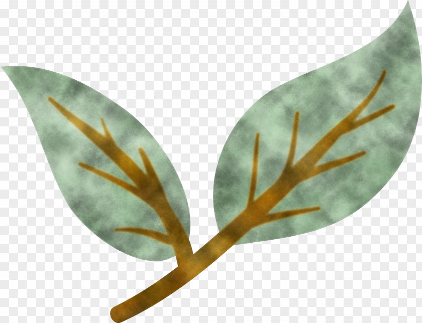 Leaf Biology Plants Plant Structure Science PNG