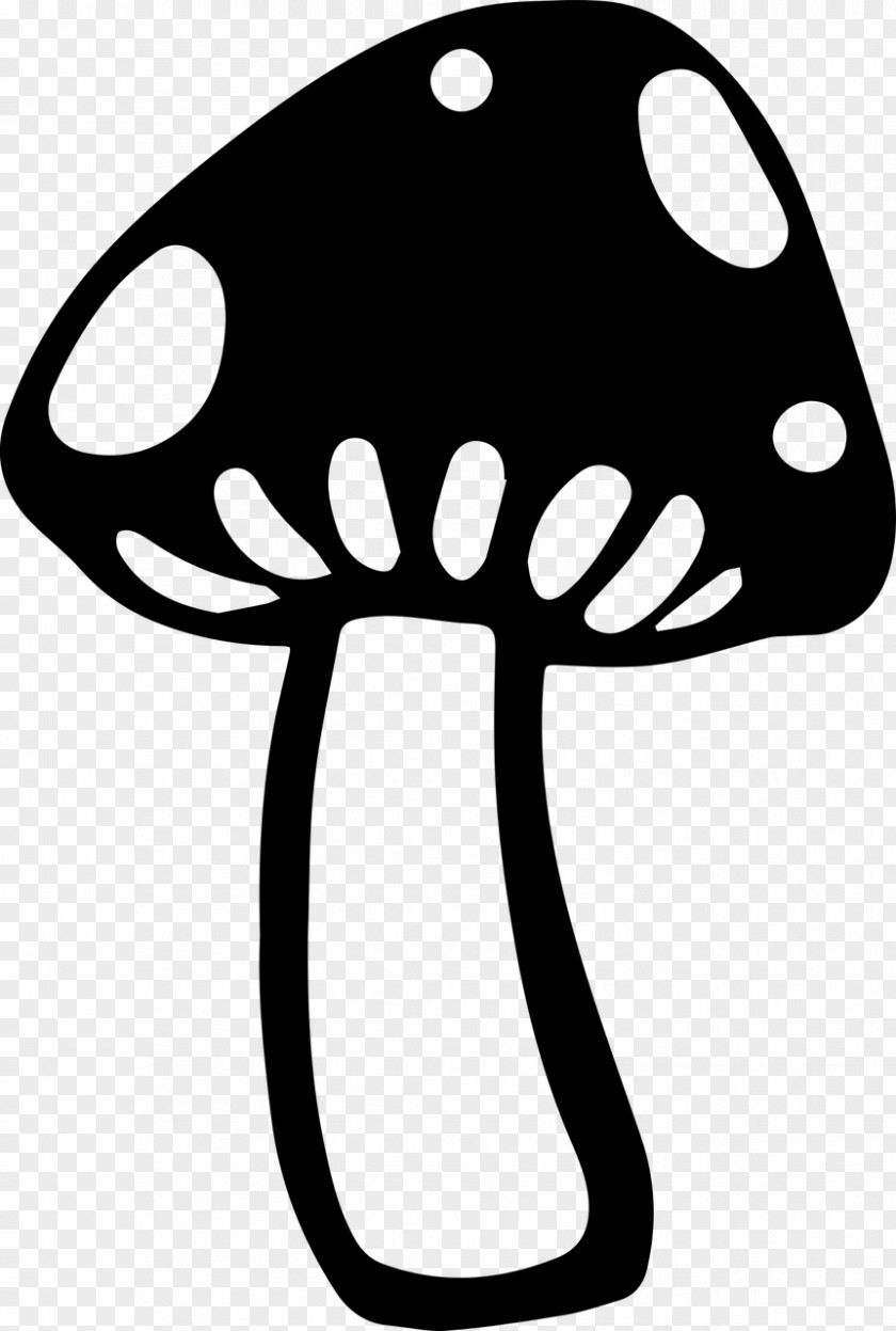 Mushroom Common Drawing Fungus PNG