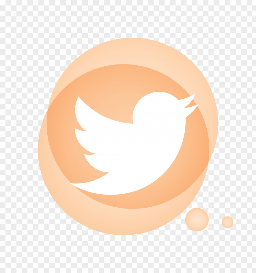 Twitter PNG