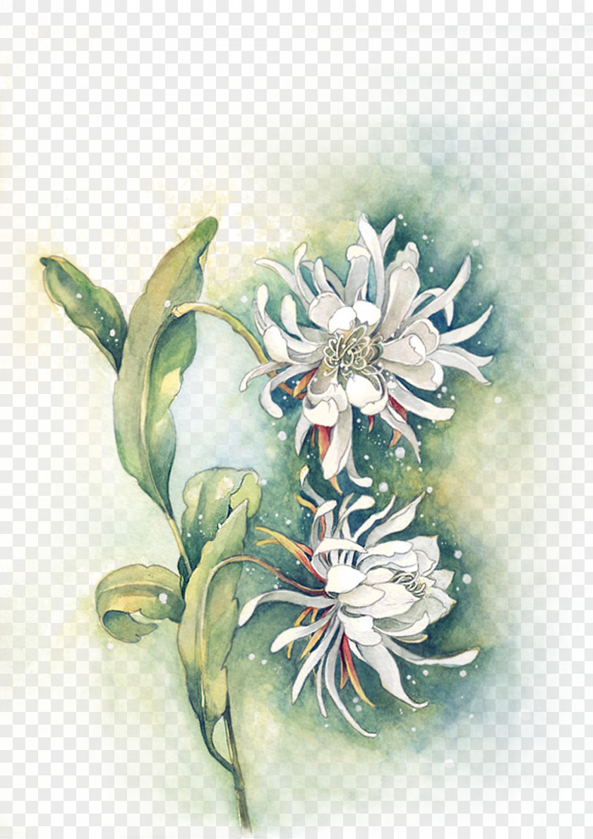 Watercolor Chrysanthemum Painting Ink Wash Photography Texture PNG