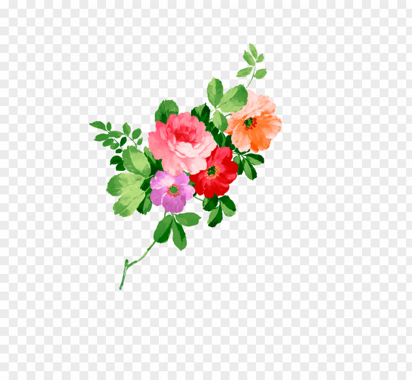 4 Flowers Garden Roses Flower Floral Design PNG