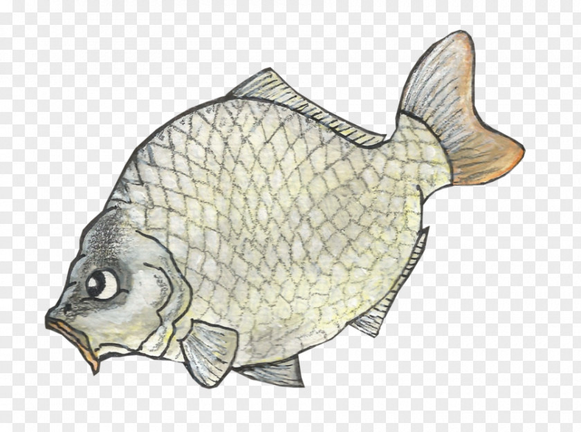 Cartoon Ghost Flounder Tilapia Carp Fauna PNG