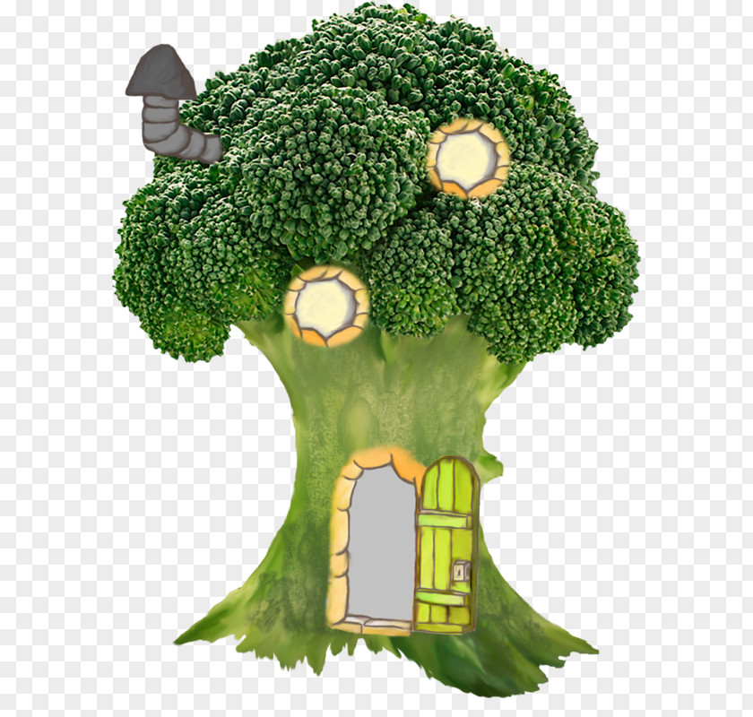 Creative Broccoli Sprouts Vegetable Cauliflower PNG