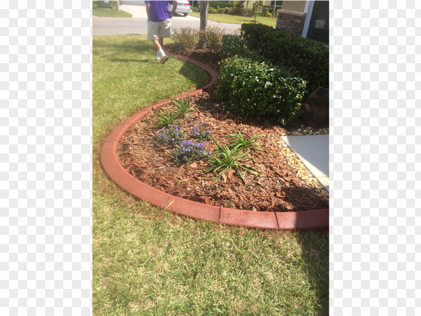 Curb Lawn Backyard Landscaping PNG